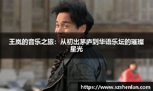 王岚的音乐之旅：从初出茅庐到华语乐坛的璀璨星光