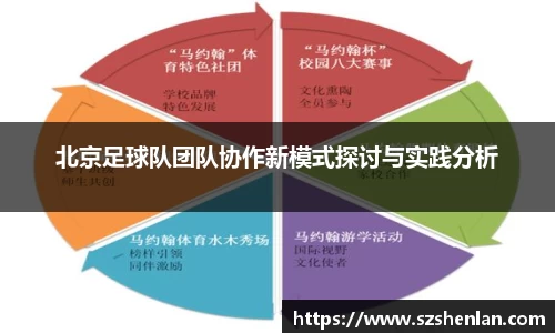 北京足球队团队协作新模式探讨与实践分析