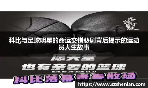 bwin必赢在线登录入口