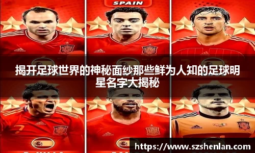 揭开足球世界的神秘面纱那些鲜为人知的足球明星名字大揭秘